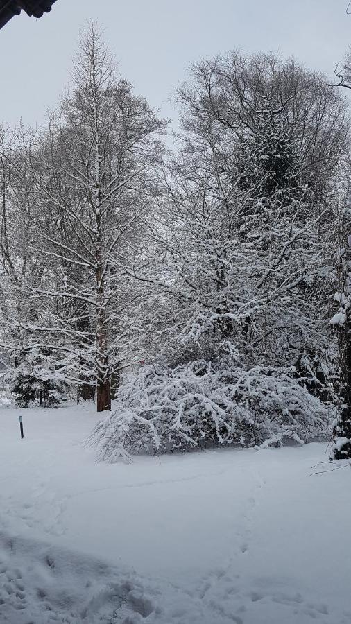 Gospodarstwo Agroturystyczne Stary Mlyn Wilczkowice มิคาโววิตเซ ภายนอก รูปภาพ